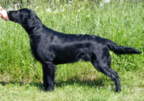 Moritz