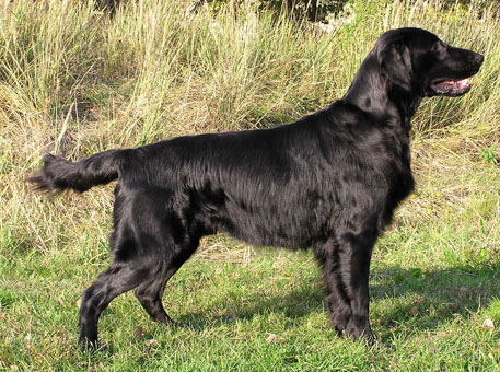 Moritz