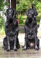 Matilda&Mitzi