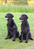 Monica&Moritz