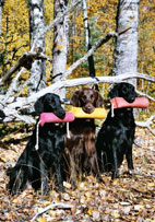 Moritz,Mattson,Monica