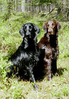 Monica&Mattson