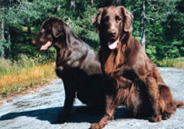 Mattson&Huuko