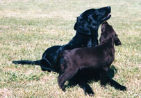 Monica&Mattson  