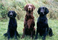 Moritz,Mattson,Monica 