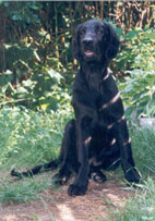 Moritz&nbsp;
