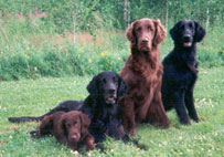 Mattson,H�kan,Huuko,Monica