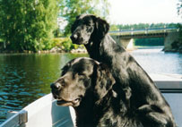 H�kan & Monica