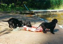 Monica & Pelle & Meeri