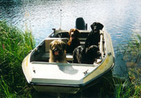 Veneilem�ss� 1999