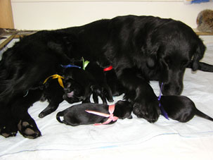 One day old.