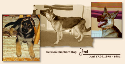 Jeni