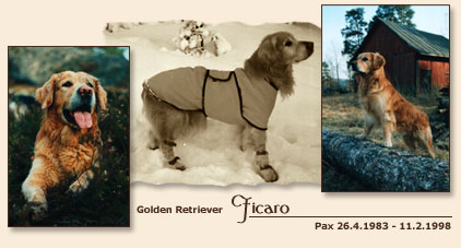 Ficaro